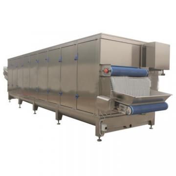 Food Automatic Belt Drying Equipment Fruit Tunnel Dryer