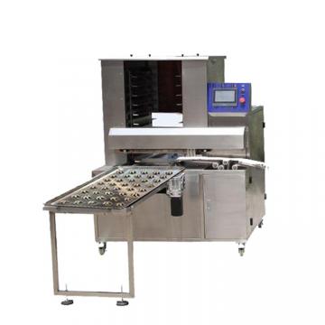 Dsm-Automatic Cookie Biscuit Production Line