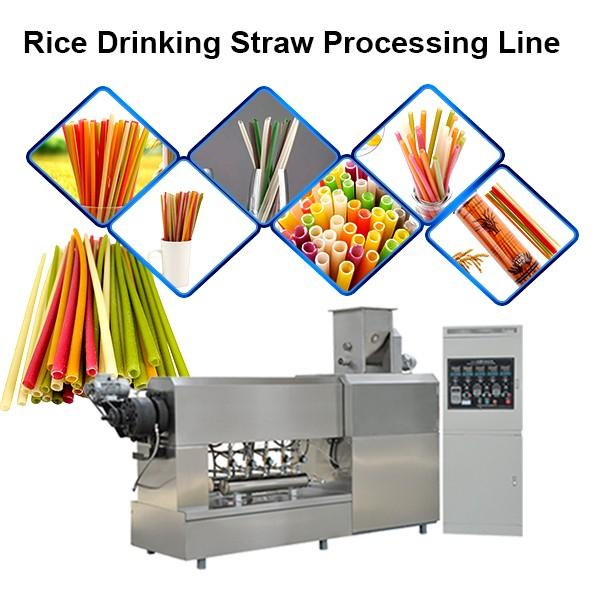 100-150 Kg/H Pasta Processing Line Macaroni Making Machine Italy Noodles Machine Degradable Straw Making Machine