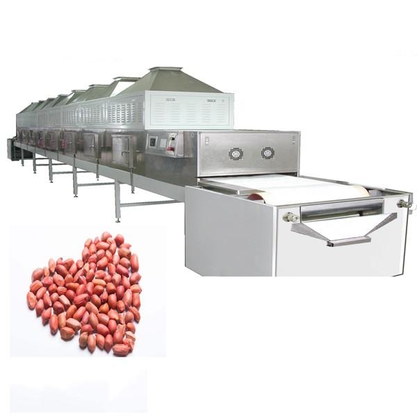 Industrial Agricultural Food Freeze Drying Dryer Lyophilizer Equipment Price