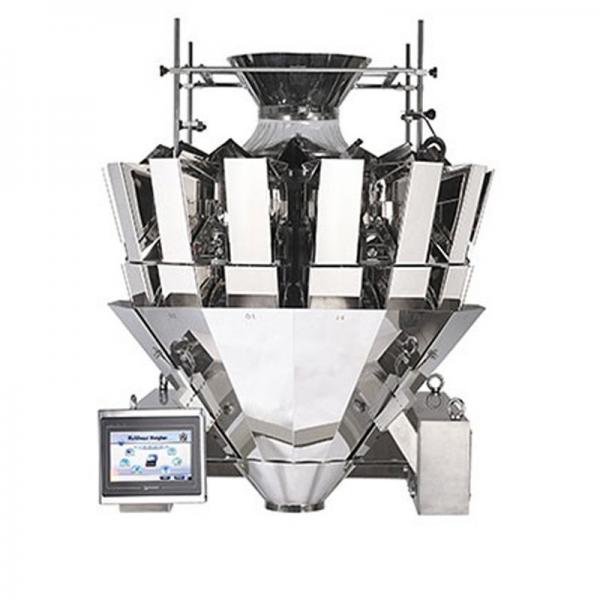 10 Head Modular Linear Weigher Packing Machine for Powder Jw-Axs10