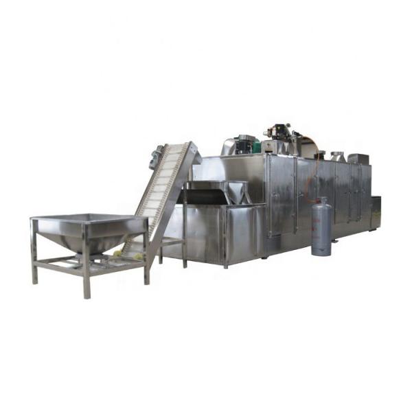 Automatic Drying Industrial Customized Made Conveyor/Tunnel/Melt Belt Dryer