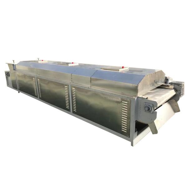 Continuous Dehydrated Vegetable Mesh Belt Dryer Machine