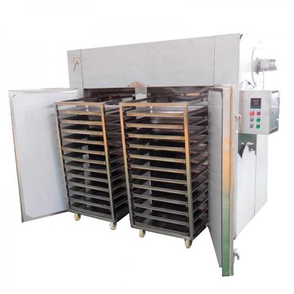 Continuous Automatic Shredded Radish Multi Layer Mesh Belt Dryer Drying Machine for Food Plant