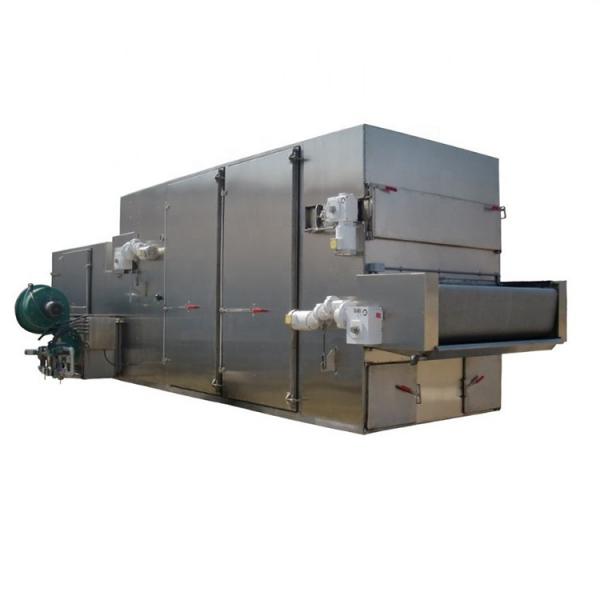 Continuous Mesh Belt Dryer Peanut Roasting Machine