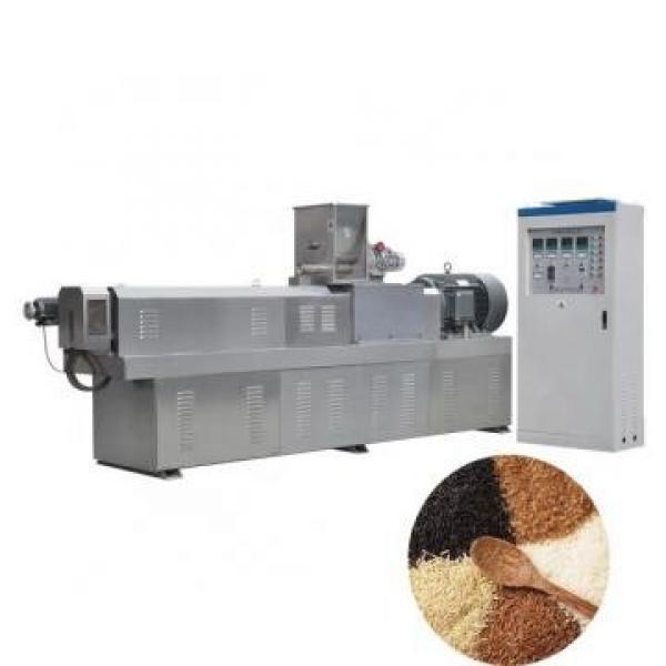 Automatic artificial rice making machine plant