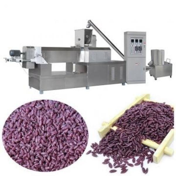 High Quality Artificial Rice Extruder Machine Nutritional Rice Production Line in Jinan